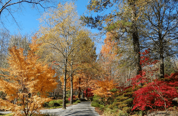 November in Georgia 