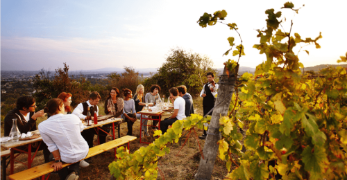 Wine Tour to Kakheti
