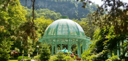 Follow Borjomi