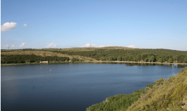 lisi lake for swimming 